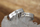 RING - Platinum marrige ring